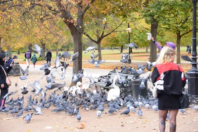 DSC_0624 (Large).JPG